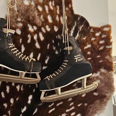 Prespa Penthouse Apartman *