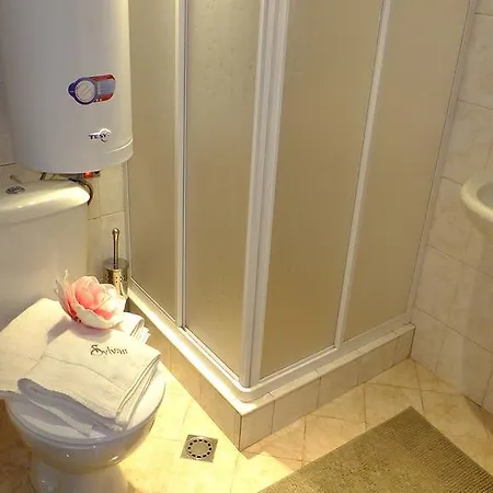 Apartman Prespa Penthouse Banszko